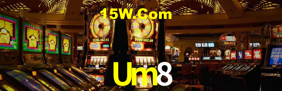 Premium Interface Um8